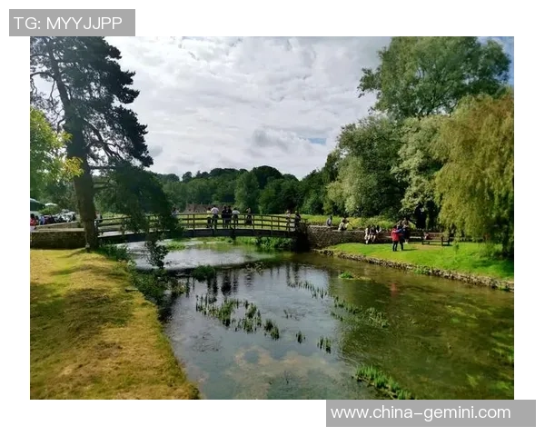 伯顿与女王训游的精彩对决揭示了骑马运动的魅力与挑战