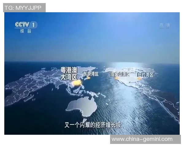 上海排球队的转型之路：从辉煌到重生的纪实故事与启示
